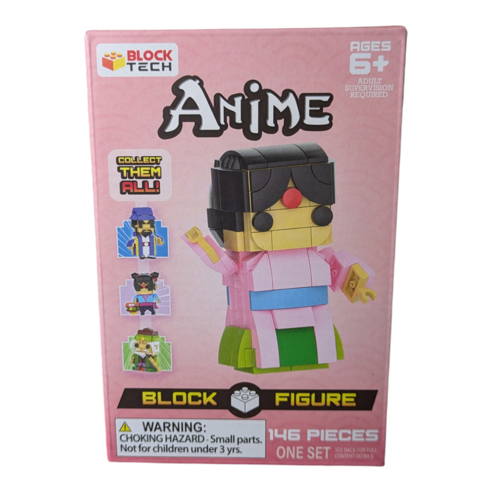 Block Tech Anime Figure Kung Fu Martial Arts Master Lady Building Set 146 Pieces